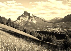 Szary + Sepia