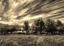 Szary + Sepia