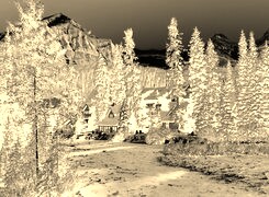 Sepia + Negatyw
