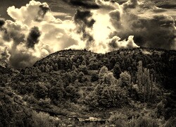 Szary + Sepia