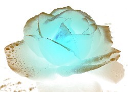 Negatyw