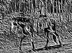 Skamielina