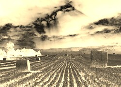 Sepia + Negatyw