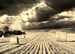 Szary + Sepia