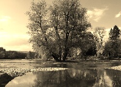 Sepia