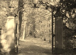 Szary + Sepia