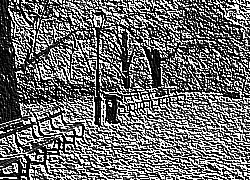 Skamielina
