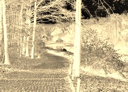 Sepia + Negatyw