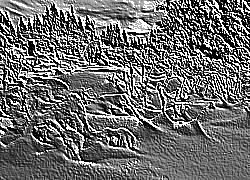 Skamielina