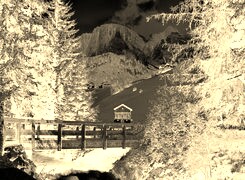 Sepia + Negatyw