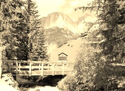 Szary + Sepia