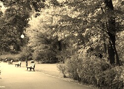 Szary + Sepia