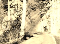 Sepia + Negatyw