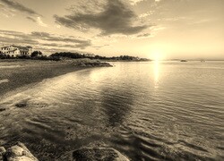Szary + Sepia
