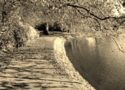 Szary + Sepia