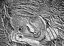 Skamielina