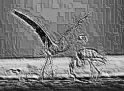 Skamielina