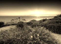 Sepia