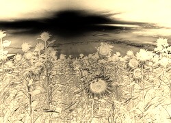 Sepia + Negatyw