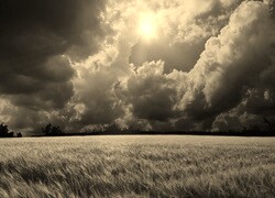 Sepia