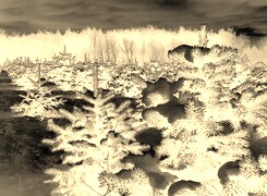 Sepia + Negatyw