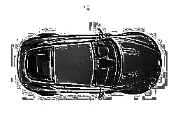 Skamielina