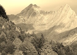 Szary + Sepia