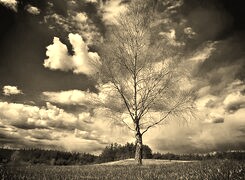 Sepia