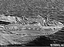 Skamielina
