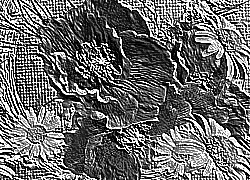 Skamielina