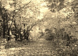 Sepia
