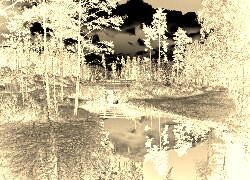 Sepia + Negatyw