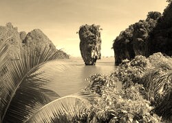 Szary + Sepia