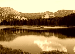 Sepia