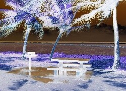 Negatyw