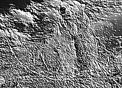 Skamielina
