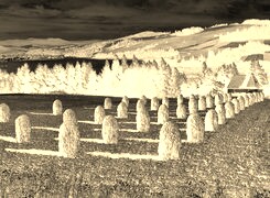 Sepia + Negatyw