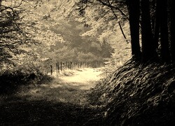 Sepia