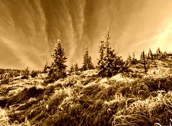 Sepia