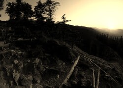 Szary + Sepia