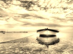 Szary + Sepia