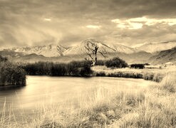 Sepia