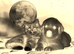 Sepia + Negatyw