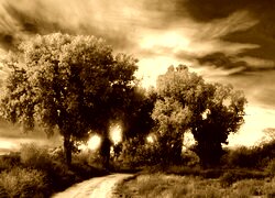 Sepia