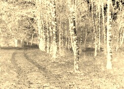Sepia + Negatyw