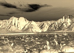 Sepia + Negatyw
