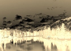 Sepia + Negatyw