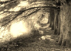 Sepia
