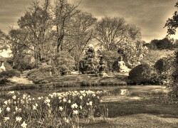 Szary + Sepia
