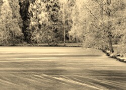 Szary + Sepia